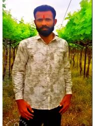 VVG6848  : Maratha (Marathi)  from  Sangli