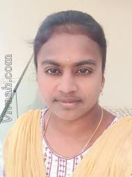 VVG7336  : Sozhiya Vellalar (Tamil)  from  Erode