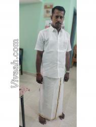 VVG7611  : Vellalar (Tamil)  from  Chidambaram