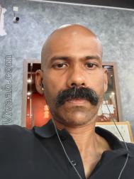 VVG7957  : Vellalar (Tamil)  from  Sydney