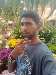 VVG8505  : Pillai (Tamil)  from  Thiruvarur