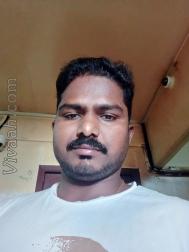 VVG8853  : Kulalar (Tamil)  from  Paramagudi