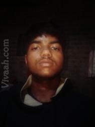 VVG9054  : Dhobi (Hindi)  from  Bareilly