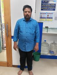 VVG9488  : Sowrashtra (Sourashtra)  from  Theni