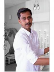 VVH0381  : Gavara (Telugu)  from  Coimbatore