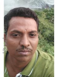 VVH3953  : Reddy (Telugu)  from  Tadpatri