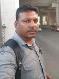 VVH6416  : Adi Dravida (Tamil)  from  Chennai