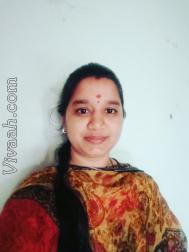 VVH8991  : Brahmin (Kutchi)  from  Shimoga
