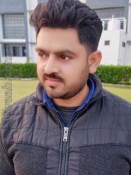 VVI0693  : Brahmin (Punjabi)  from  Mohali