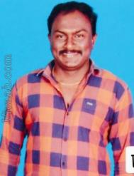 VVI1987  : Devendra Kula Vellalar (Tamil)  from  Chennai