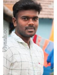 VVI2347  : Adi Dravida (Tamil)  from  Salem (Tamil Nadu)