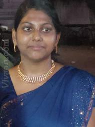 VVI3847  : Valluvan (Tamil)  from  Chennai