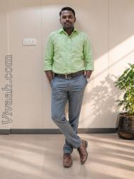 VVI8859  : Devendra Kula Vellalar (Tamil)  from  Theni