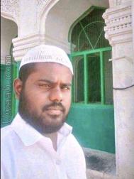 VVI9466  : Sheikh (Urdu)  from  Cuddapah