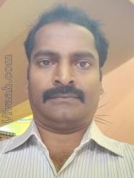 VVJ0355  : Thevar (Tamil)  from  Salem (Tamil Nadu)