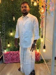VVJ0598  : Chettiar (Tamil)  from  Chennai