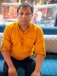 VVJ1573  : Kayastha (Hindi)  from  Rae Bareli