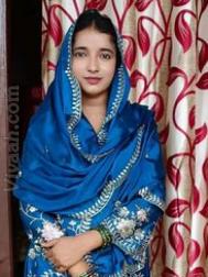 VVJ2405  : Malik (Arabic)  from  South Delhi