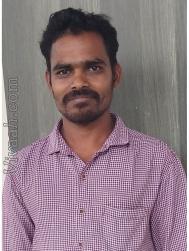 VVJ2496  : Kongu Vellala Gounder (Tamil)  from  Gobichettipalayam