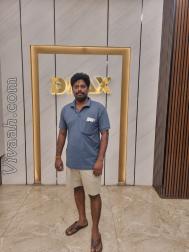 VVJ3308  : Vanniyakullak Kshatriya (Tamil)  from  Dharmapuri