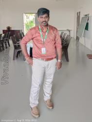 VVJ4452  : Devendra Kula Vellalar (Tamil)  from  Pudukkottai