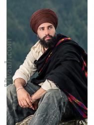 VVJ4806  : Majabi (Hindi)  from  Jalandhar