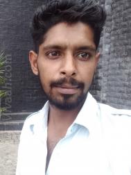 VVJ4882  : Rajput (Hindi)  from  Solan
