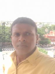 VVV0951  : Adi Dravida (Tamil)  from  Salem (Tamil Nadu)