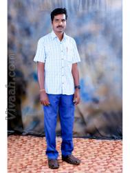 VVV2392  : Vanniyar (Tamil)  from  Tindivanam