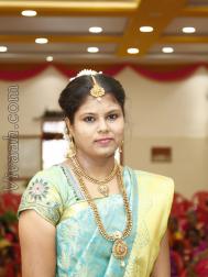 VVV3496  : Mudaliar Senguntha (Tamil)  from  Chennai
