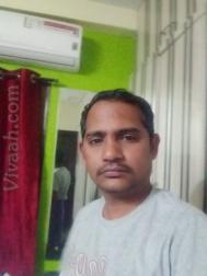 VVV4173  : Brahmin Telugu (Telugu)  from  Hyderabad