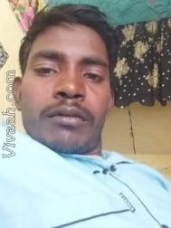 VVV5447  : Arora (Bengali)  from  Barpeta