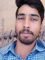 VVV9650  : Yadav (Hindi)  from  Sikar