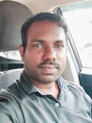 VVW4740  : Scheduled Caste (Malayalam)  from  Ernakulam