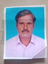 VVW7564  : Mudaliar (Tamil)  from  Tiruvannamalai