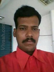 VVW9186  : Mudaliar (Tamil)  from  Chennai