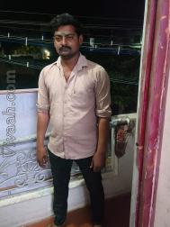 VVY5772  : Gavara (Tamil)  from  Perambalur