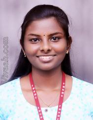 VVY6828  : Adi Dravida (Tamil)  from  Chennai
