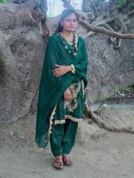 VVY6937  : Pal (Hindi)  from  Sultanpur