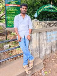 VVY7142  : Vanniyakullak Kshatriya (Tamil)  from  Dindigul