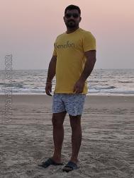VVY7805  : Jat (Hindi)  from  Faridabad