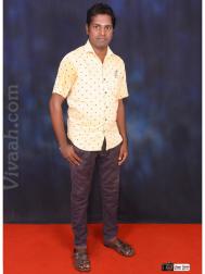 VVY9173  : Vishwakarma (Tamil)  from  Villupuram