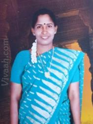 VVY9192  : Mudaliar Senguntha (Tamil)  from  Vellore