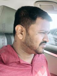VVY9651  : Meenavar (Tamil)  from  San Jose (California)