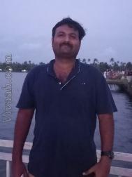VVZ0791  : Brahmin Vaidiki (Telugu)  from  Chennai