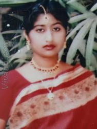 VVZ1489  : Ansari (Bengali)  from  Bogra