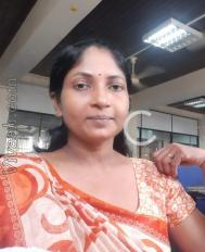 VVZ1610  : Vellalar (Tamil)  from  Jaffna