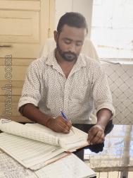 VVZ1743  : Other (Bengali)  from  Dharmanagar