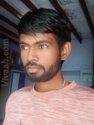 VVZ4239  : Valmiki (Telugu)  from  Anantapur