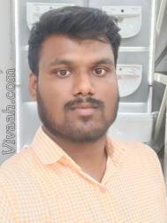 VVZ4431  : Gavara (Telugu)  from  Vellore